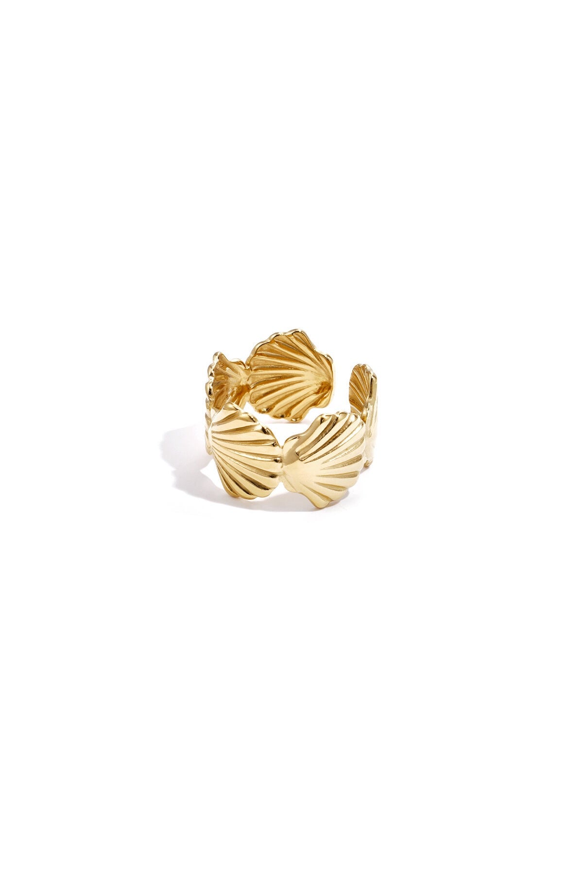 Shelly ring