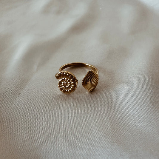 Shelly ring