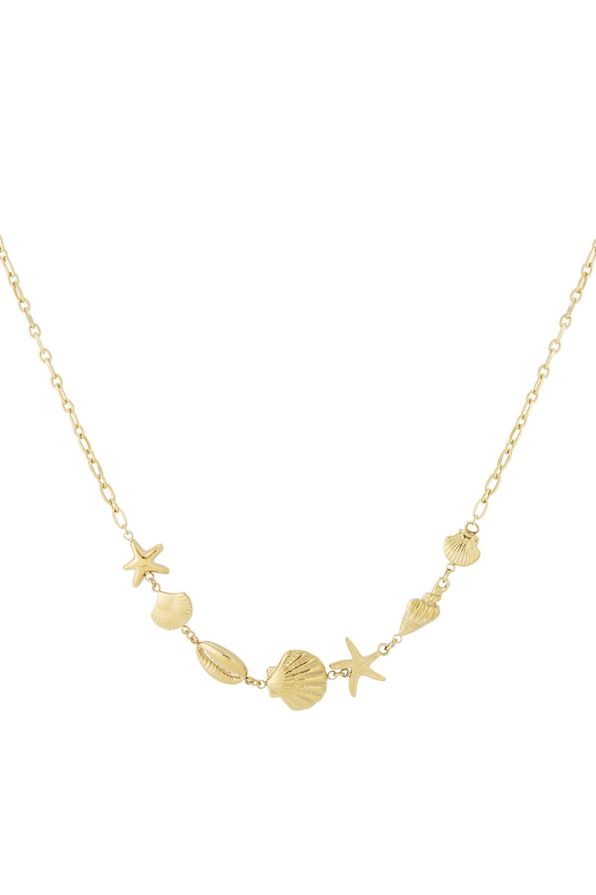 We shell sea necklace