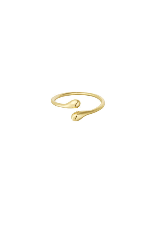Small swirly ring